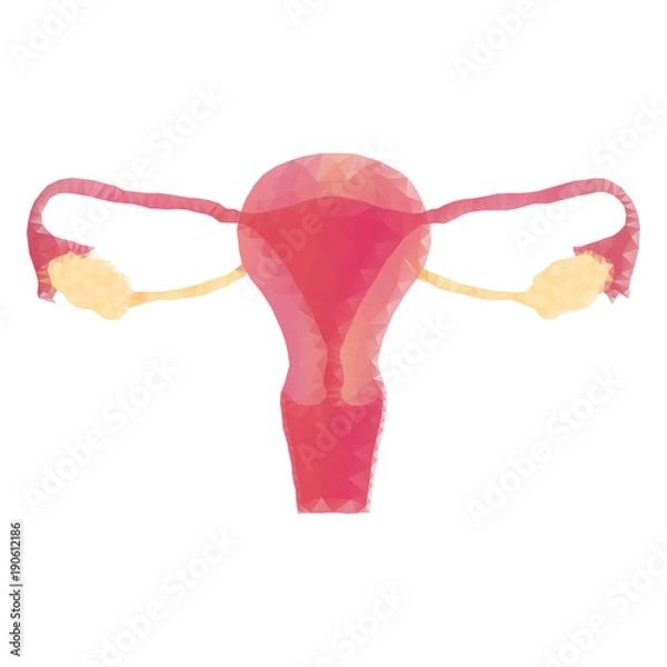 Obraz Polygon uterus