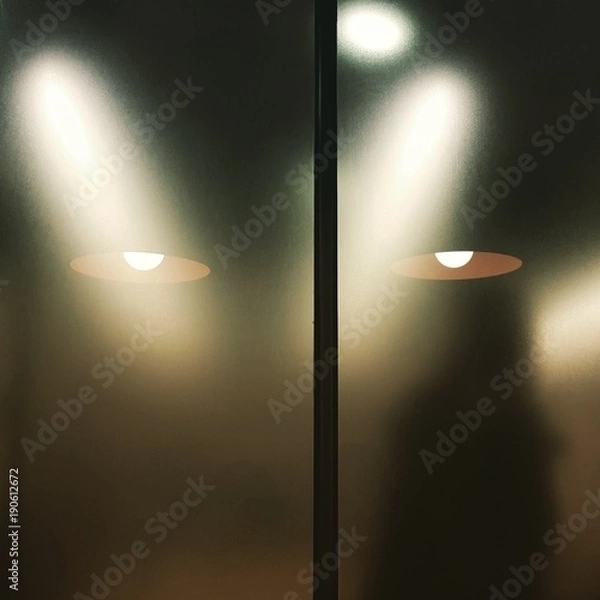 Obraz eyes on the window