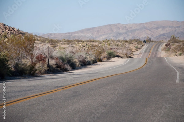 Obraz Road disappearing in the distant dessert at Yoshua Tree national park, California