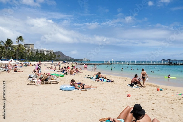 Fototapeta ハワイ