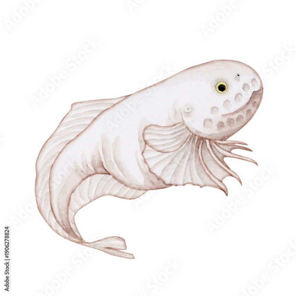 Obraz スネイルフィッシュ シンカイクサウオ　深海魚 深海生物　水彩 イラスト