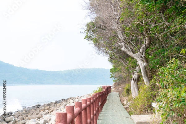 Obraz 香港　塔門島の海と町並み