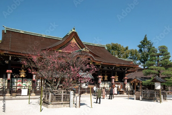 Obraz 北野天満宮 飛梅と拝殿