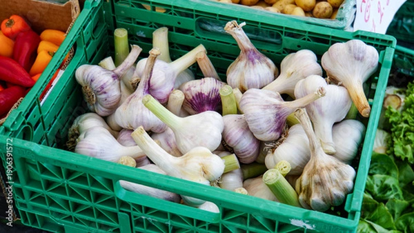 Obraz 緑色のプラスチックケースに大量に入った茎付きの新鮮な白いニンニク