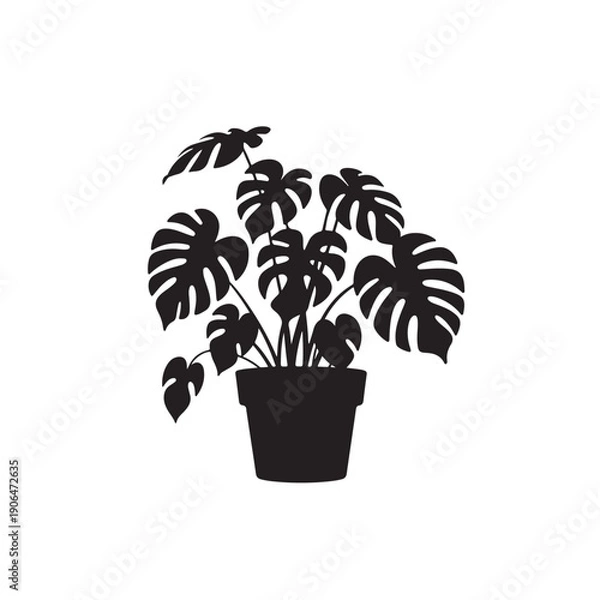 Obraz plant in pot
