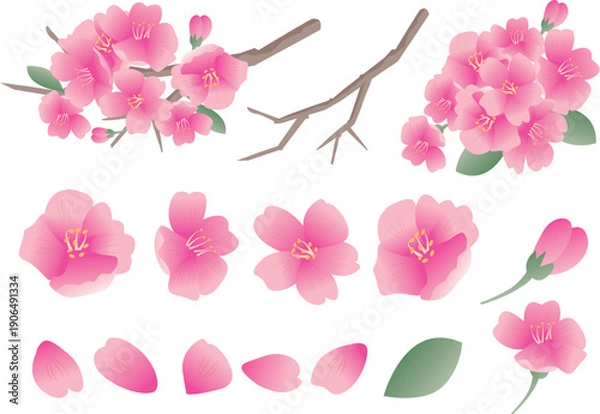 Obraz 春の桜の花びら