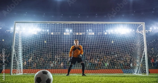 Obraz Soccer goalkeeper in action on the stadium