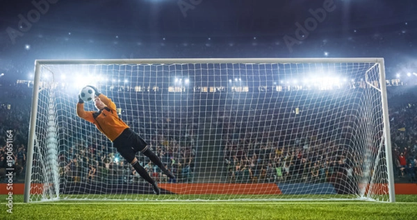 Obraz Soccer goalkeeper in action on the stadium