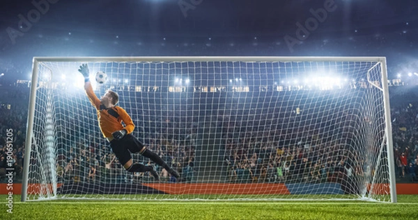 Obraz Soccer goalkeeper in action on the stadium