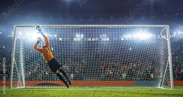 Obraz Soccer goalkeeper in action on the stadium
