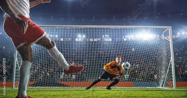 Obraz Soccer goalkeeper in action on the stadium