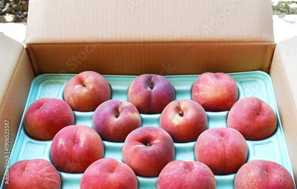 Obraz 段ボール箱の中にきれいに並んだ新鮮な桃