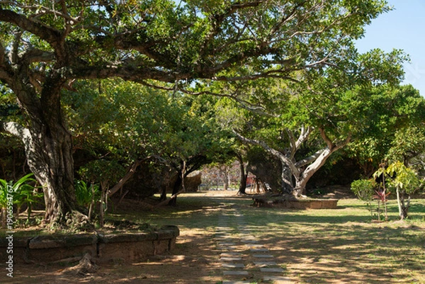 Obraz 晴れた日で木々が茂り木漏れ日のある歩行用の石を並べた居心地の良い公園