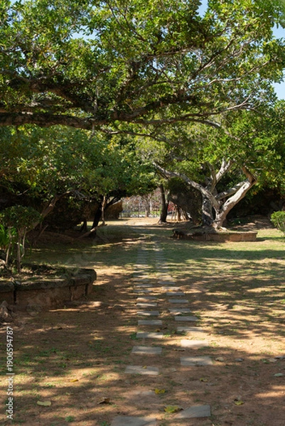Obraz 晴れた日で木々が茂り木漏れ日のある歩行用の石を並べた居心地の良い公園