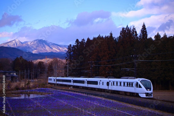 Obraz 日光市　東武鬼怒川線　イルミネーションの中を走行するスペーシアＸ