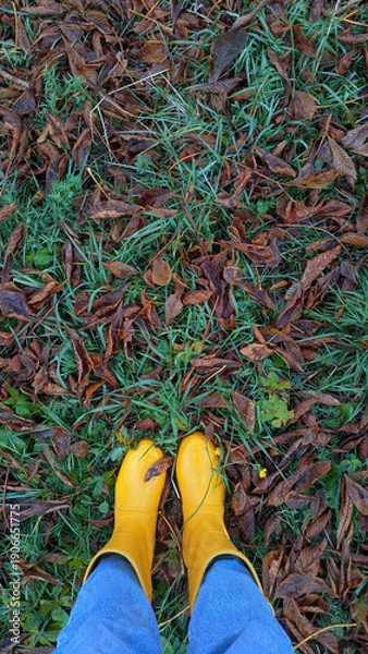 Obraz yellow rubber boots