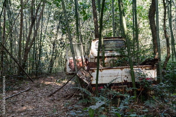 Obraz 竹林に放置された錆びた軽トラックの廃車風景