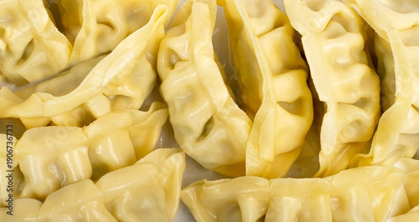 Obraz Gyoza chinese dumplings textured pattern