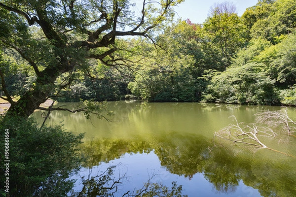 Obraz 新潟　斐太遺跡の池（妙高市）