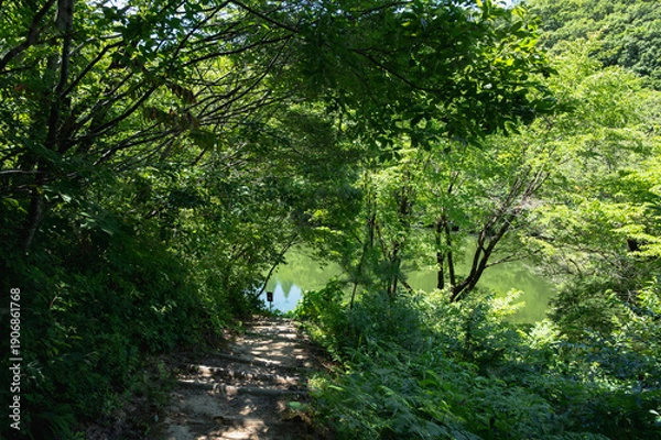 Obraz 新潟　斐太遺跡の池（妙高市）