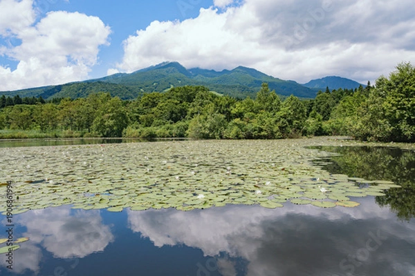 Obraz 新潟　いもり池と妙高山