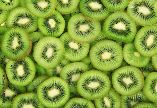 Obraz kiwi