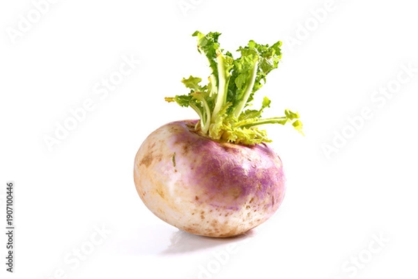 Obraz Turnip isolated on white background, shallow focus