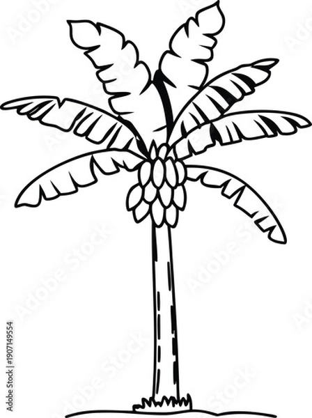 Obraz Banana Tree Shadow Silhouette