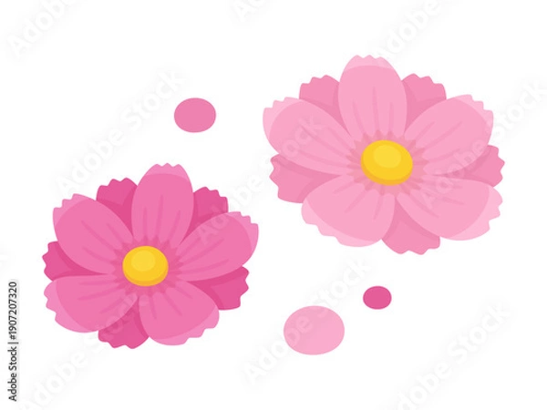 Obraz かわいいコスモスの花のイラスト素材