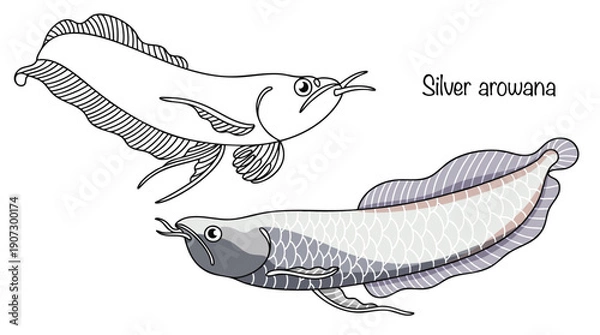 Obraz Silver arowana
