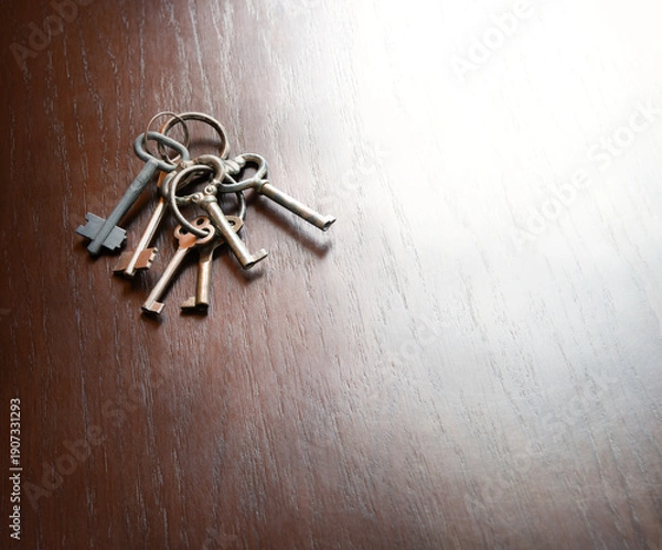 Obraz Keys on the wooden table