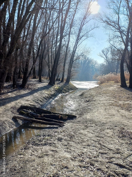 Obraz log bridge over the stream