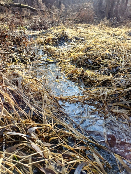 Obraz water flow in dry grass1