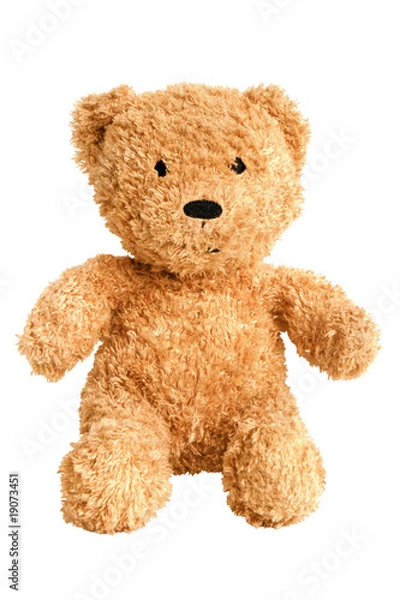 Fototapeta Teddy bear