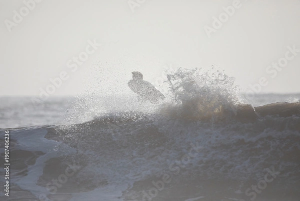 Obraz 波しぶきとサーファー