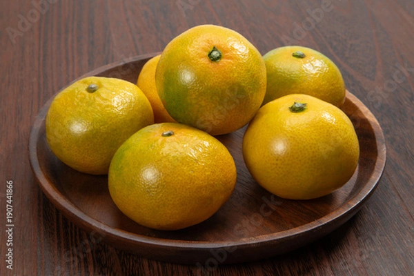 Obraz 熊本名産、たまなみかん