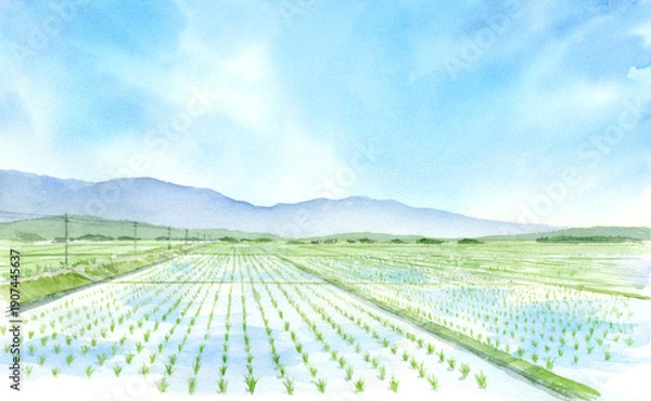 Obraz 田園風景　水田の水彩画