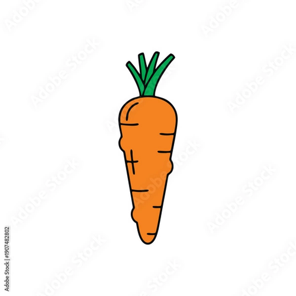 Obraz vector carrots and carrot