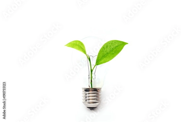 Obraz Trees help save the world