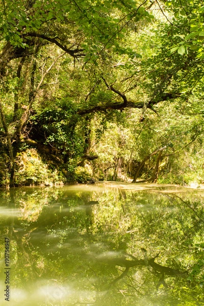 Fototapeta Sillans Waterfall