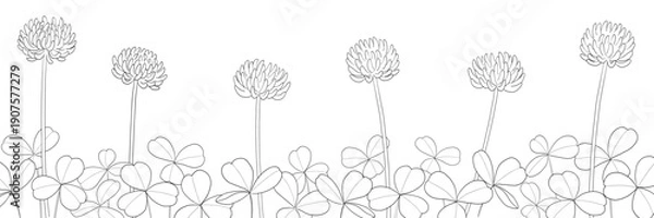 Obraz 並んだシロツメクサの線画