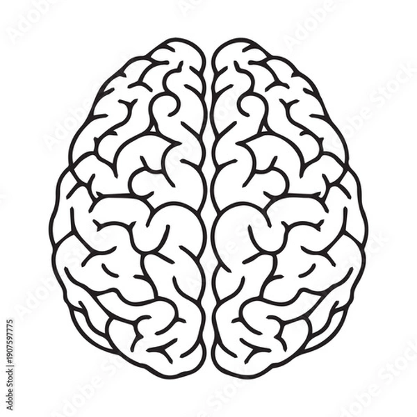 Obraz Human Brain Icon Vector – Mind, Intelligence & Thinking Symbol