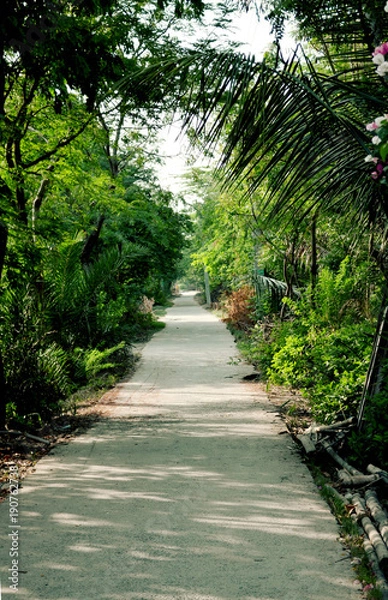 Obraz A shadowed narrow path