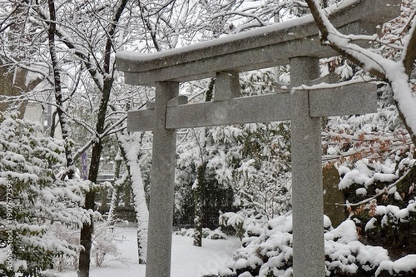 Obraz 雪の神社と石の鳥居の白い世界　埼玉県川口神社