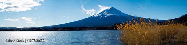 Fototapeta Panorama view of Mt. Fuji at Oishi Park