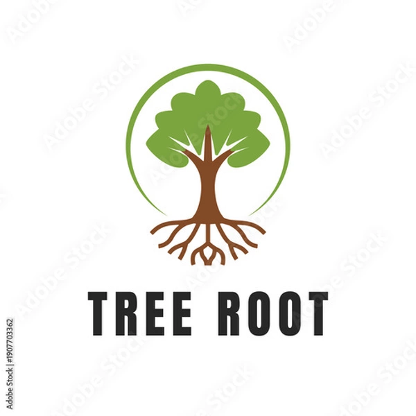 Obraz Tree Root Logo Design with Green Leaves and Circular Emblem Vector