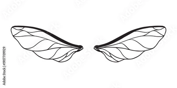Obraz hand drawn symmetrical wings illustrations