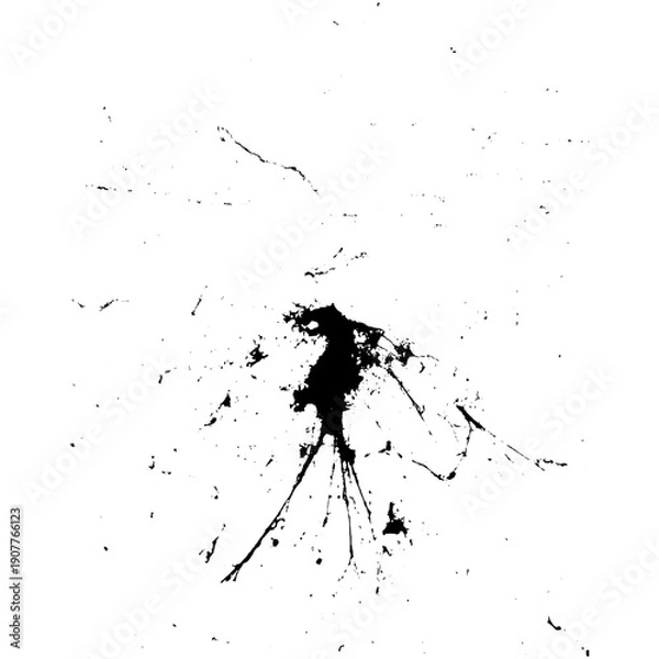 Obraz Abstract Black Ink Splash on White Background