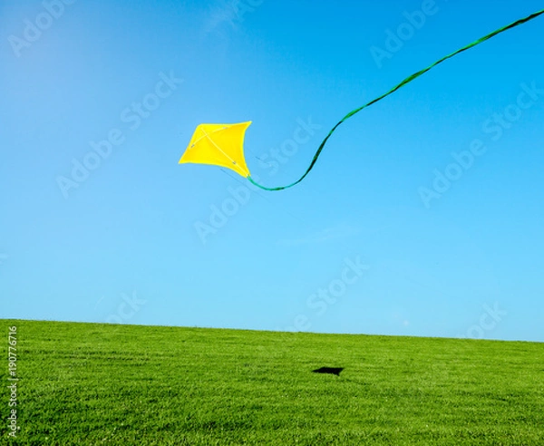 Obraz Drachenfliegen 1
