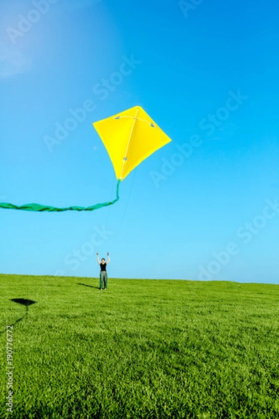 Obraz Drachenfliegen 3